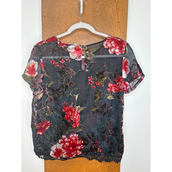 Dark Romantic Velvet Burnout Sheer Floral Sz M Top Lace Whimsigoth Sheer Fairy - Picture 9 of 14